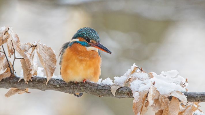 Jetzt ist es noch kälter