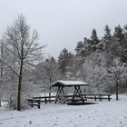 Jetzt ist es Winter geworden- hier bei uns in der Lausitz