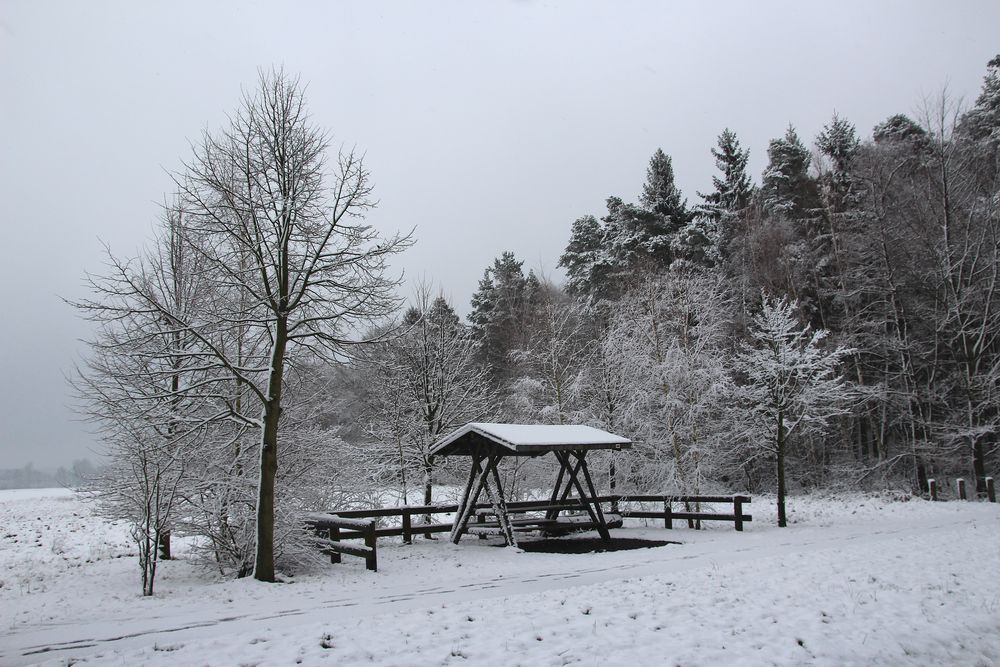 Jetzt ist es Winter geworden- hier bei uns in der Lausitz