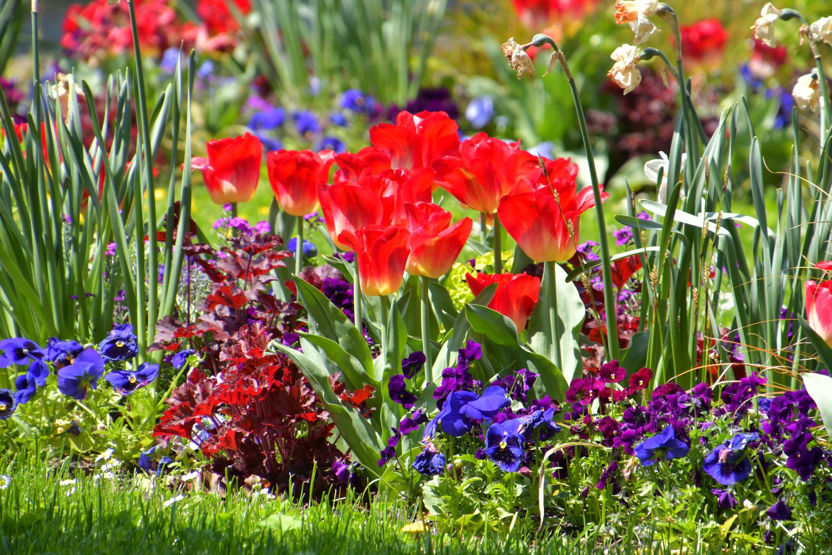 Jetzt ist Frühling