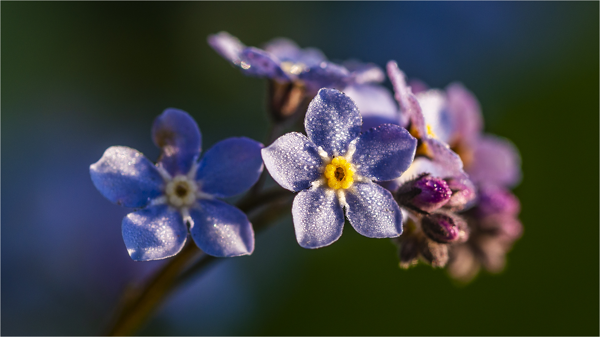 … Jetzt ist ihre Zeit …