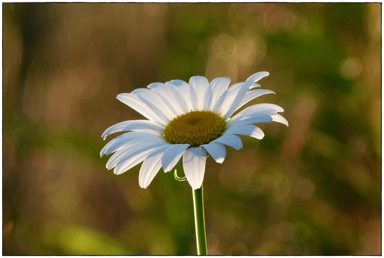 Jetzt ist Sommer! Egal, ob man schwitzt oder friert: