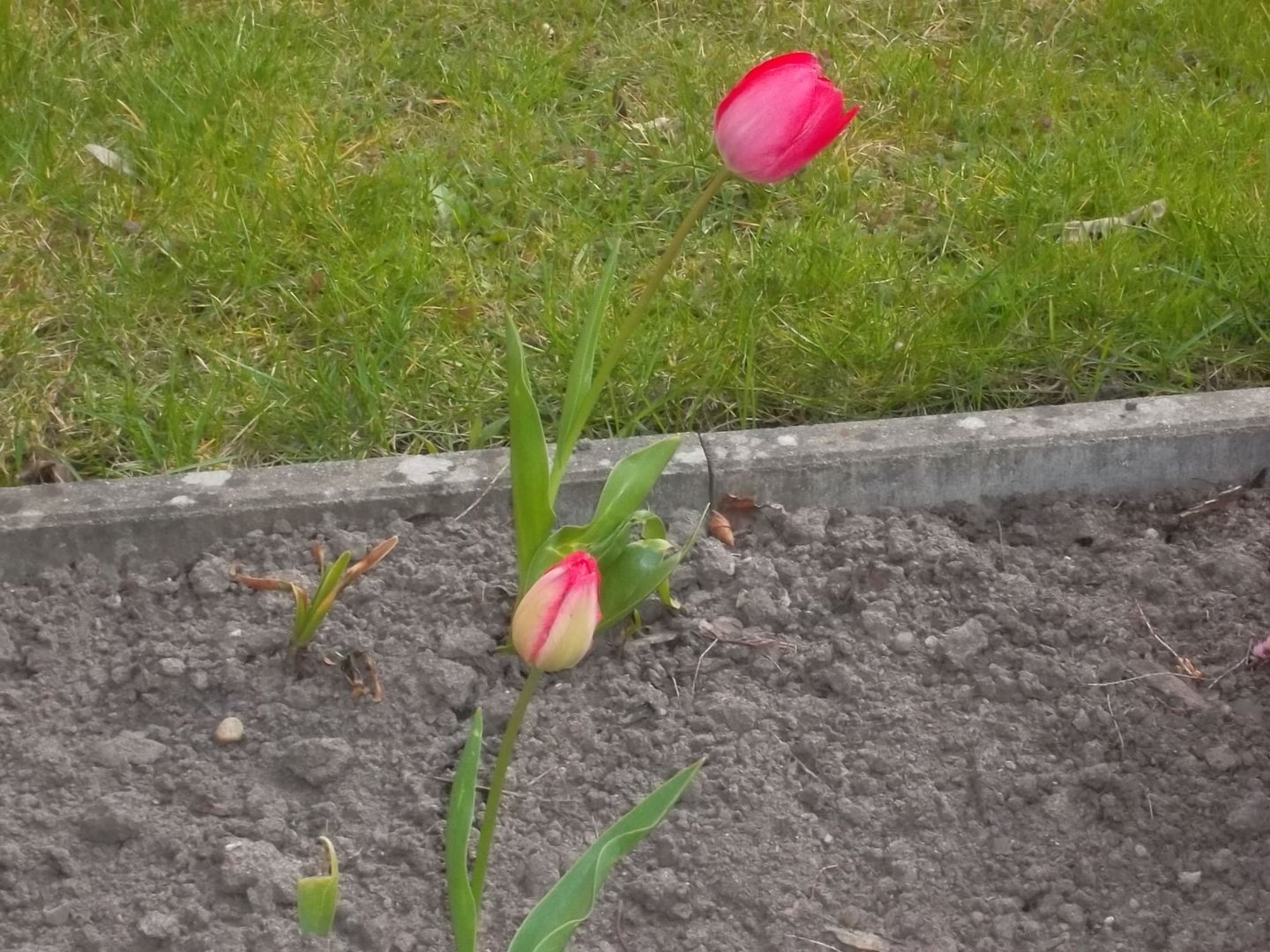 Jetzt kann der Frühling kommen!