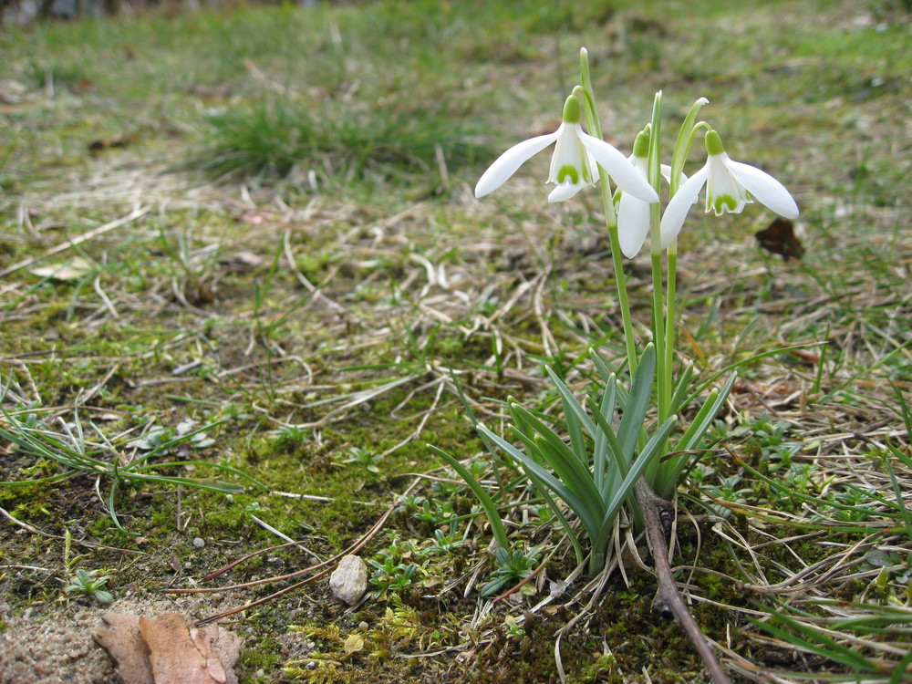 Jetzt kann der Frühling kommen