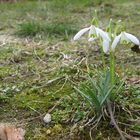 Jetzt kann der Frühling kommen