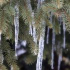 jetzt kann der Winter aber gehen