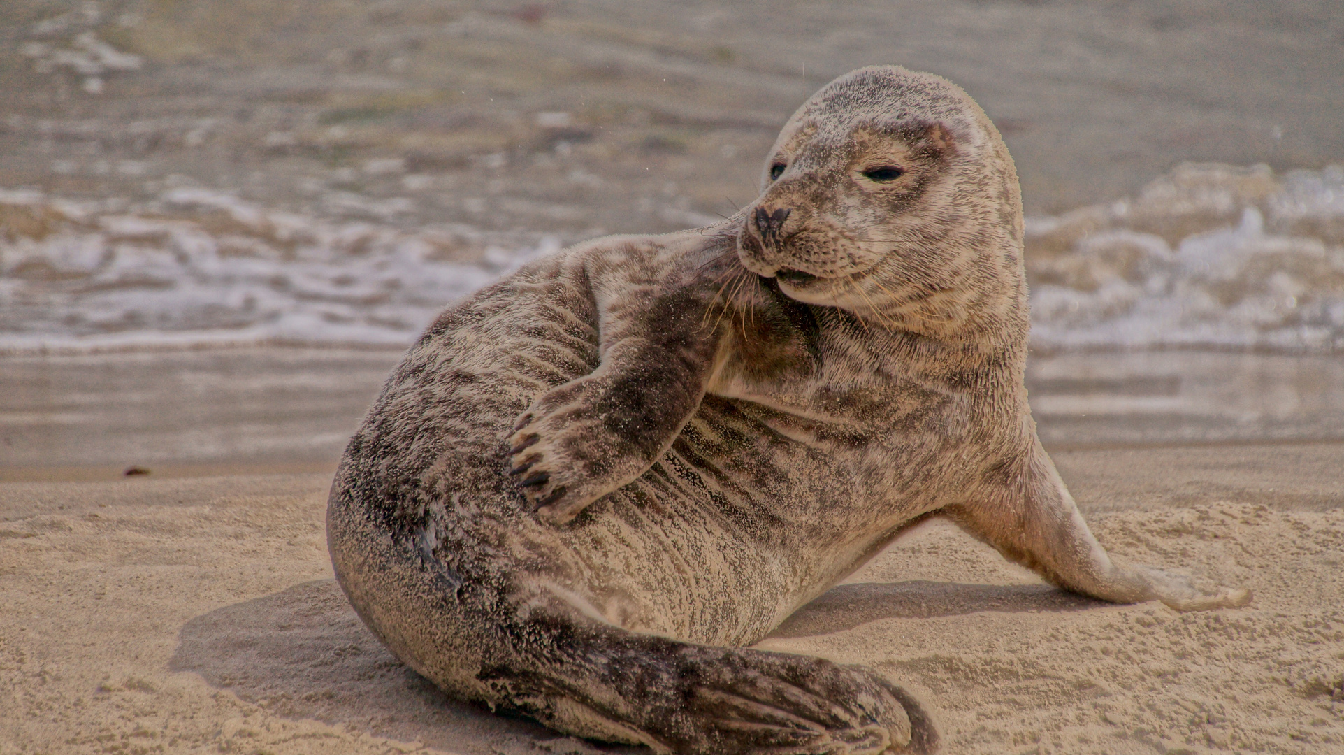 jetzt knips schon,die Pose ist anstrengend 