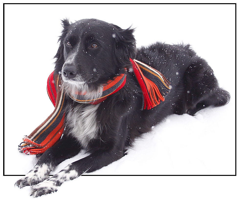 Jetzt können die Winterklamotten.......