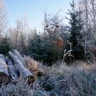 Jetzt kommen die schönen Herbst- Wintertage