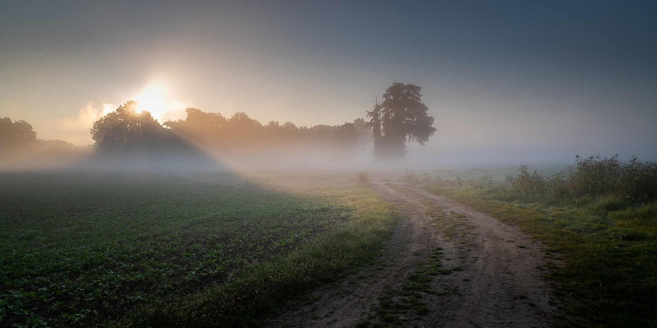 jetzt kommt die Sonne