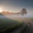 jetzt kommt die Sonne