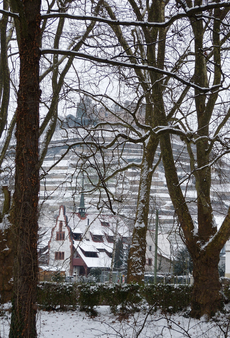 jetzt liegt sogar bei uns Schnee