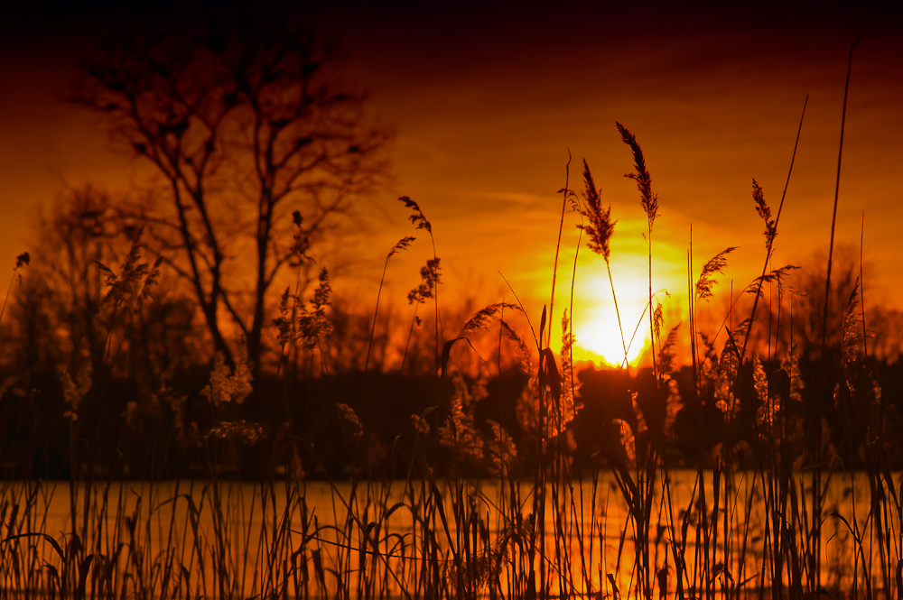 ..jetzt mal Abends am See