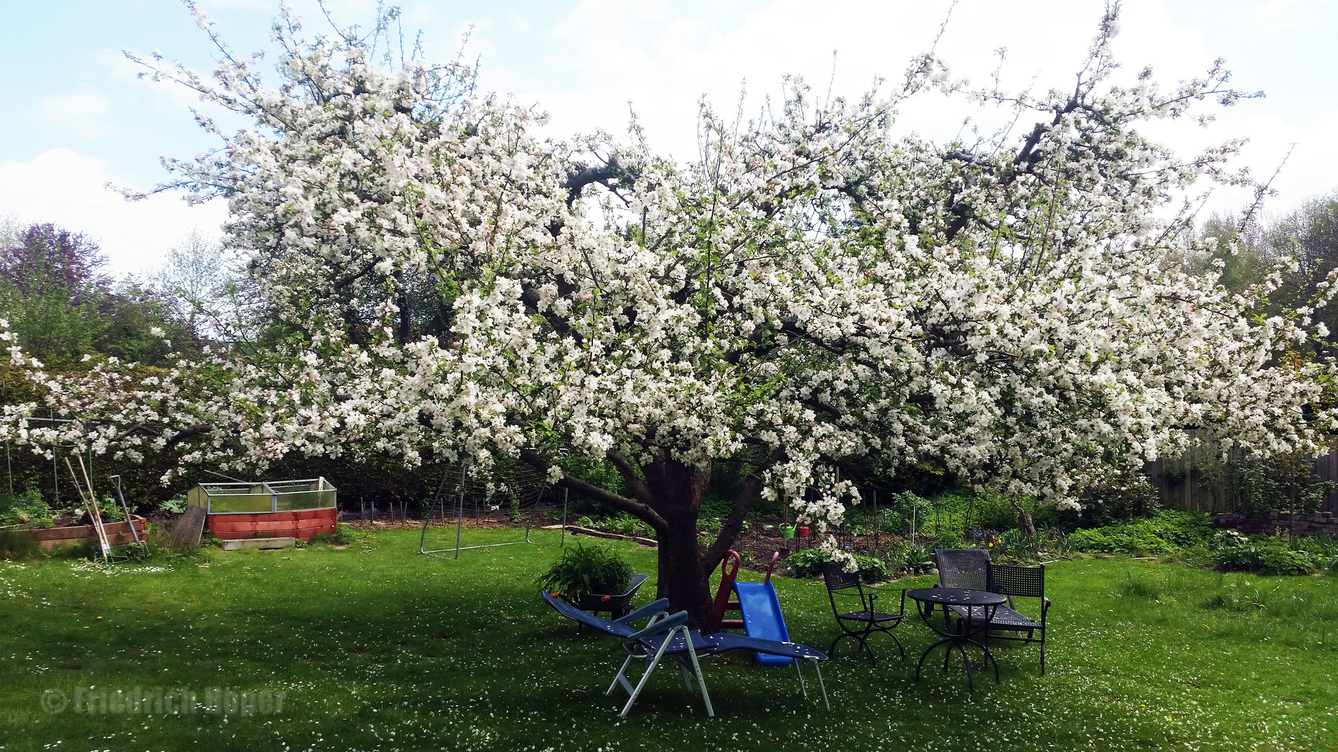 jetzt müssen nur noch die Bienen kommen ....