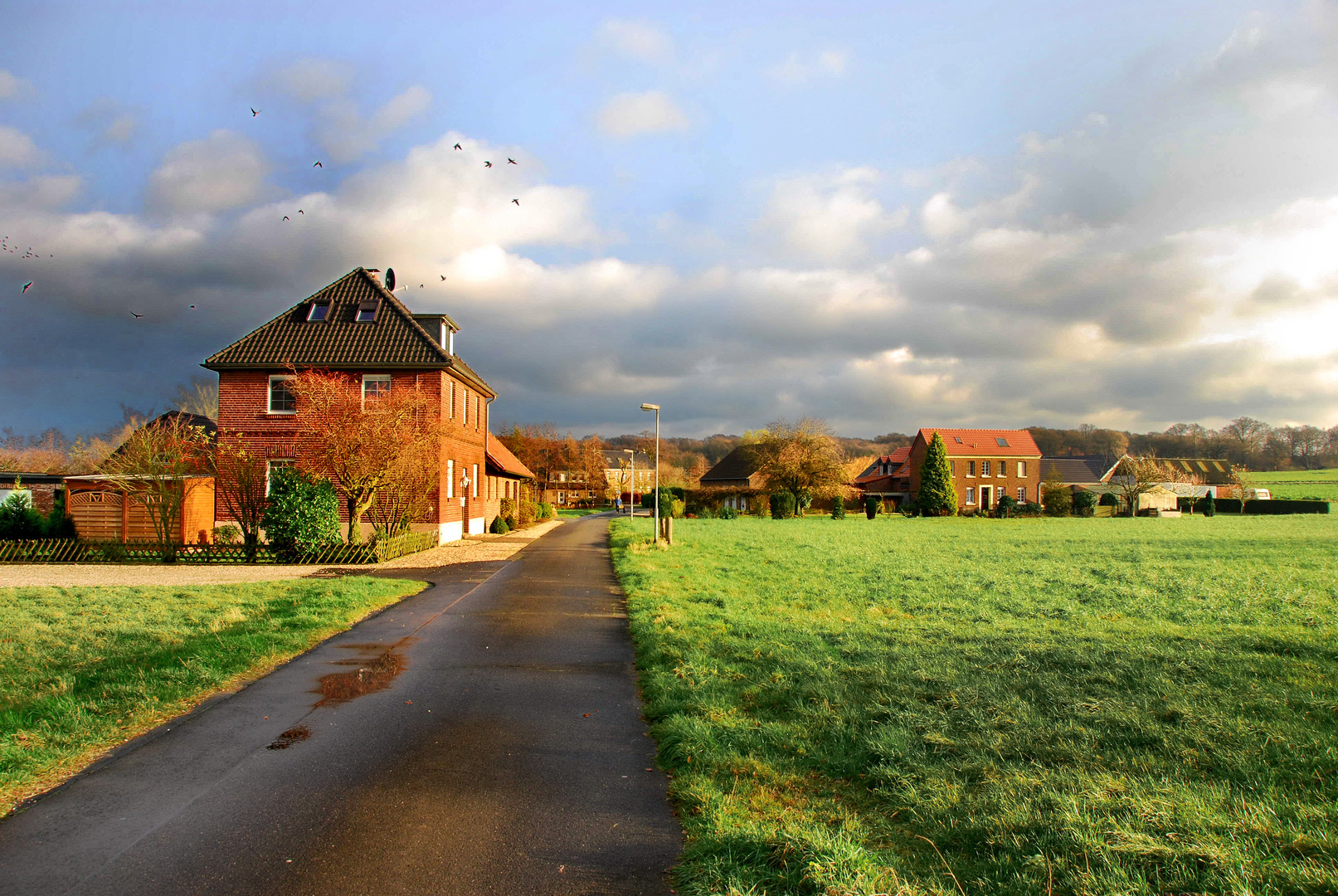 Jetzt muss es Frühling werden !!