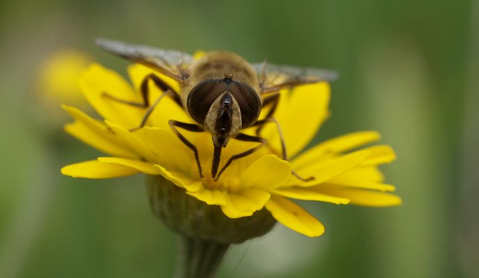 ...jetzt muss ich aber mal wieder in die fc gucken....