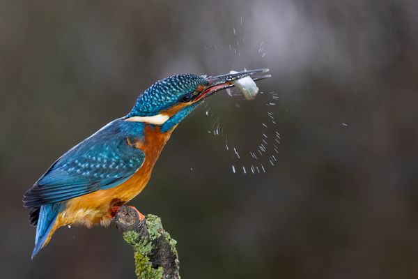 Jetzt nur noch drehen