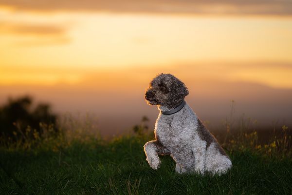 Jetzt reicht´s, ich geh!