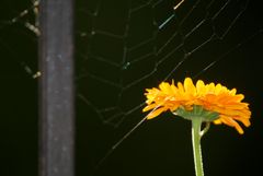 Jetzt scheint die Sonne