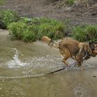 Jetzt schnell im Sand wühlen