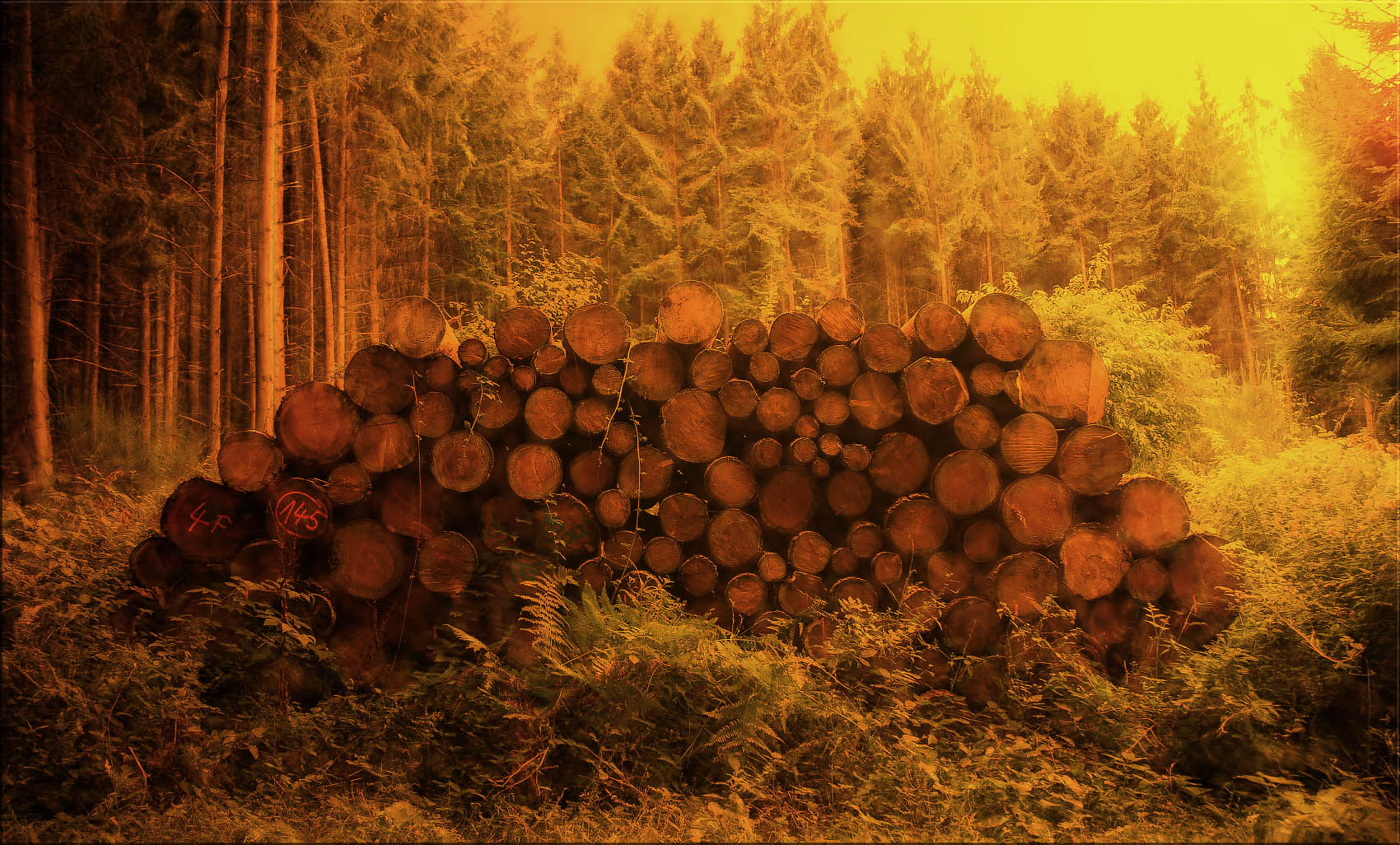 jetzt schon an das holz vor der hütte denken ...