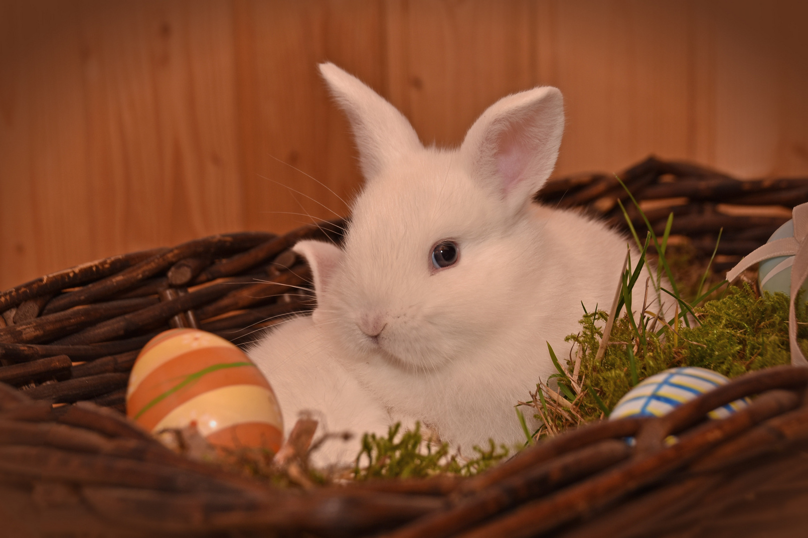 Jetzt schon an Ostern denken :-)