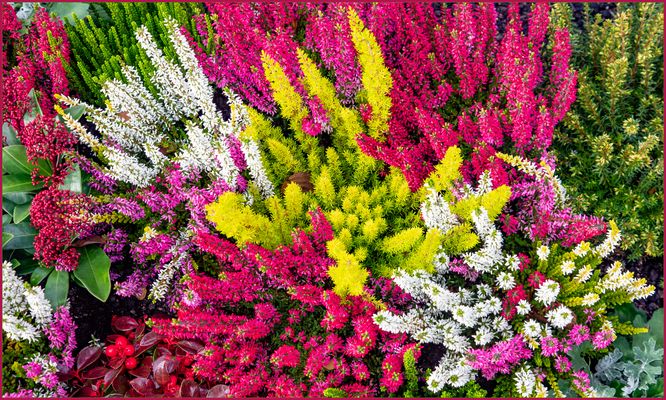 Jetzt sind die Gräber für den Winter geschmückt