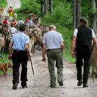 Jetzt sind sie wieder da! II