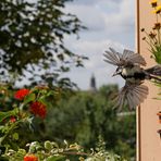 Jetzt Steigflug