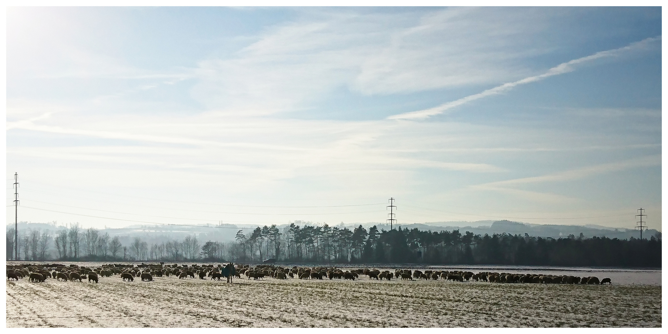 Jetzt wandern sie wieder