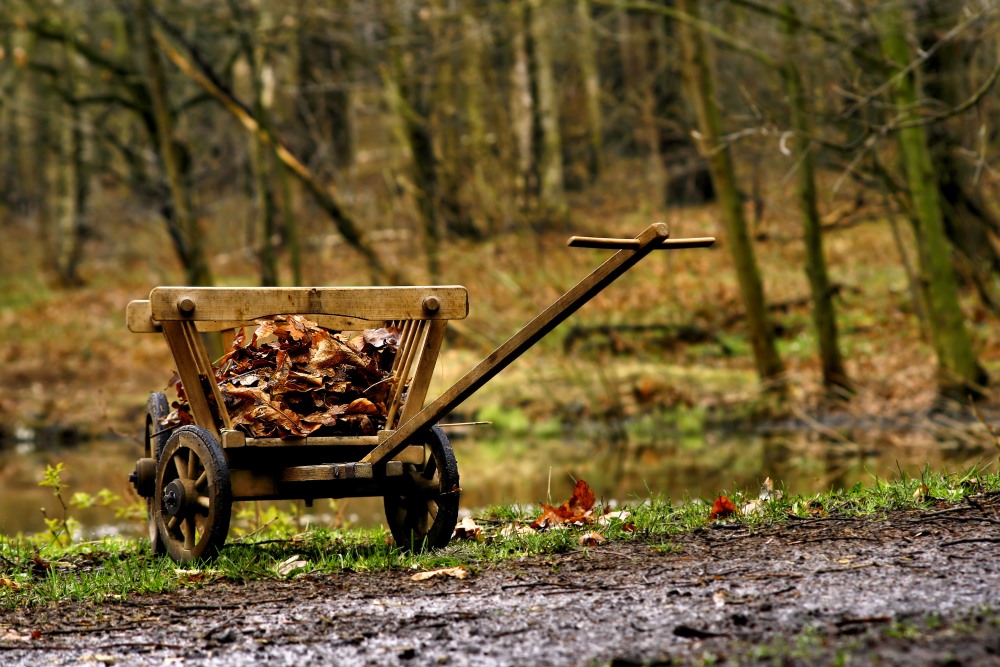 Jetzt wird aufgeräumt ,der Frühling kommt.!!