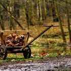 Jetzt wird aufgeräumt ,der Frühling kommt.!!