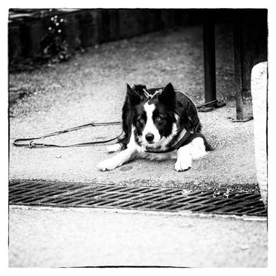 jetzt wird es aber zeit......