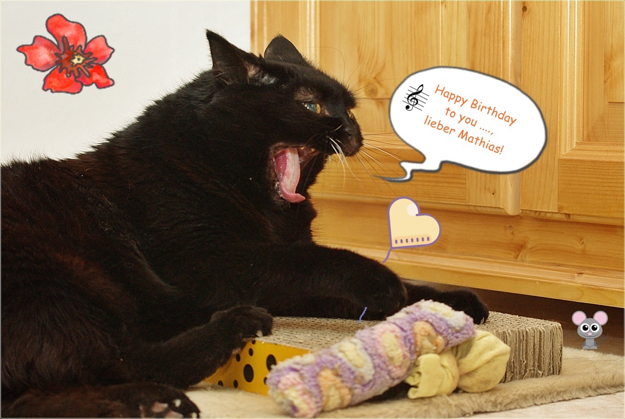 Jetzt wird es laut und was schräg Foto & Bild emotionen