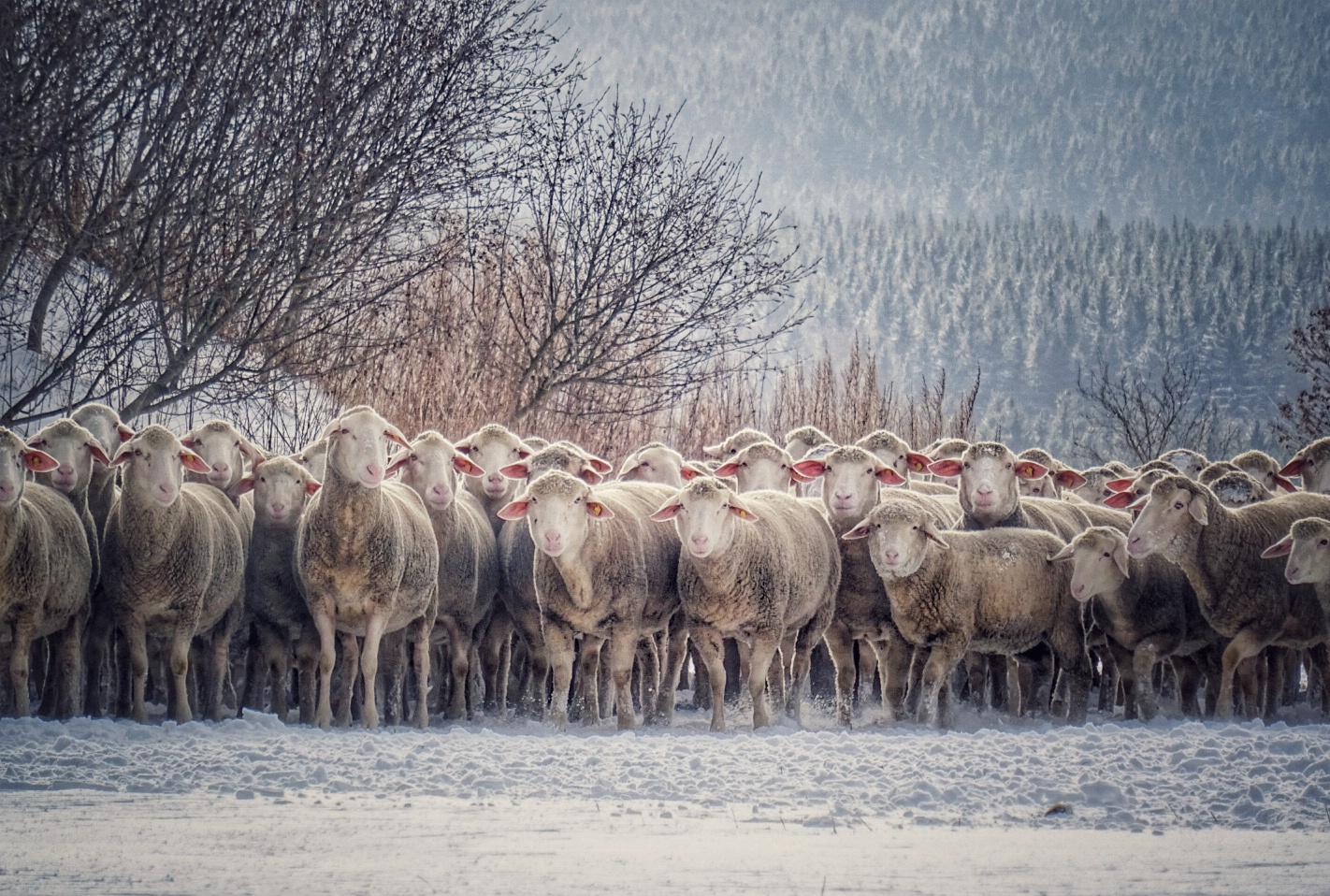 Jetzt wird's ernst...