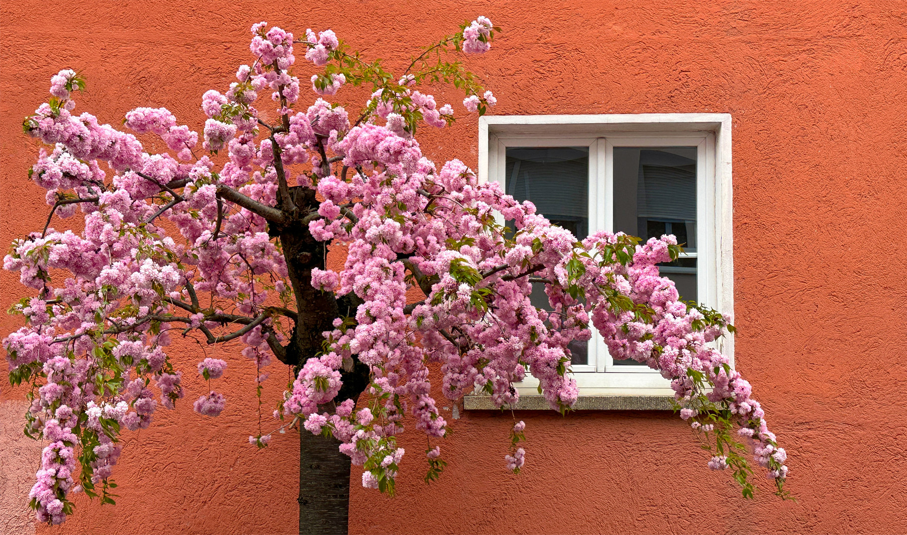 Jetzt wird's Frühling