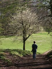 jetzt wird's Frühling