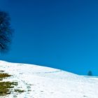 Jetzt wirds Frühling in Appenzell