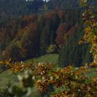 jetzt wird´s Herbst