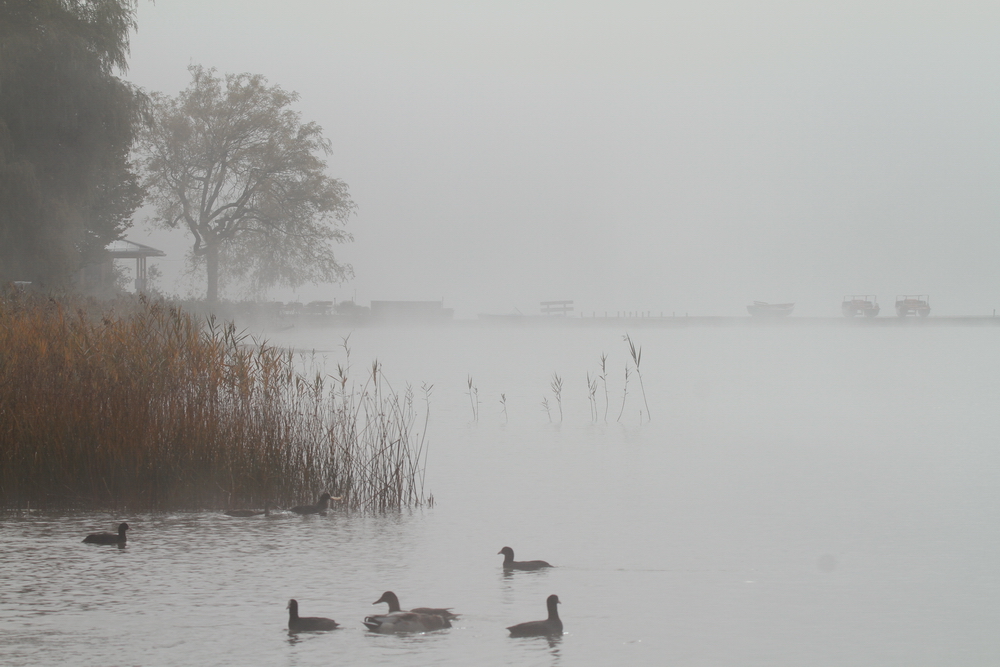 jetzt wird's Herbst ...