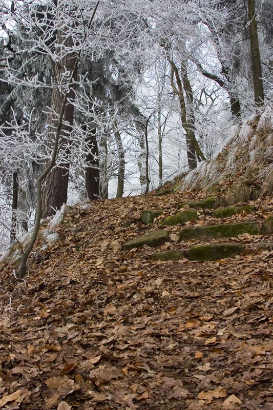 jetzt wo der winter wieder kommt...