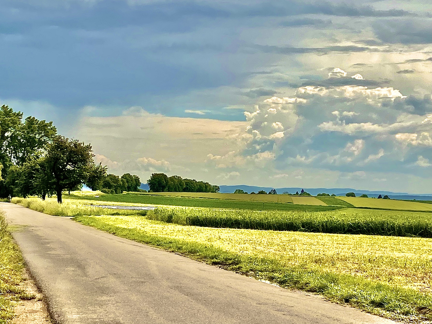 Jetzt zieht er über s Land der Sommer 