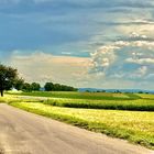 Jetzt zieht er über s Land der Sommer 