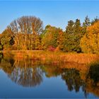 Jetzt zieht Malermeister Herbst alle Register - jetzt kommt Farbe in die Hansestadt