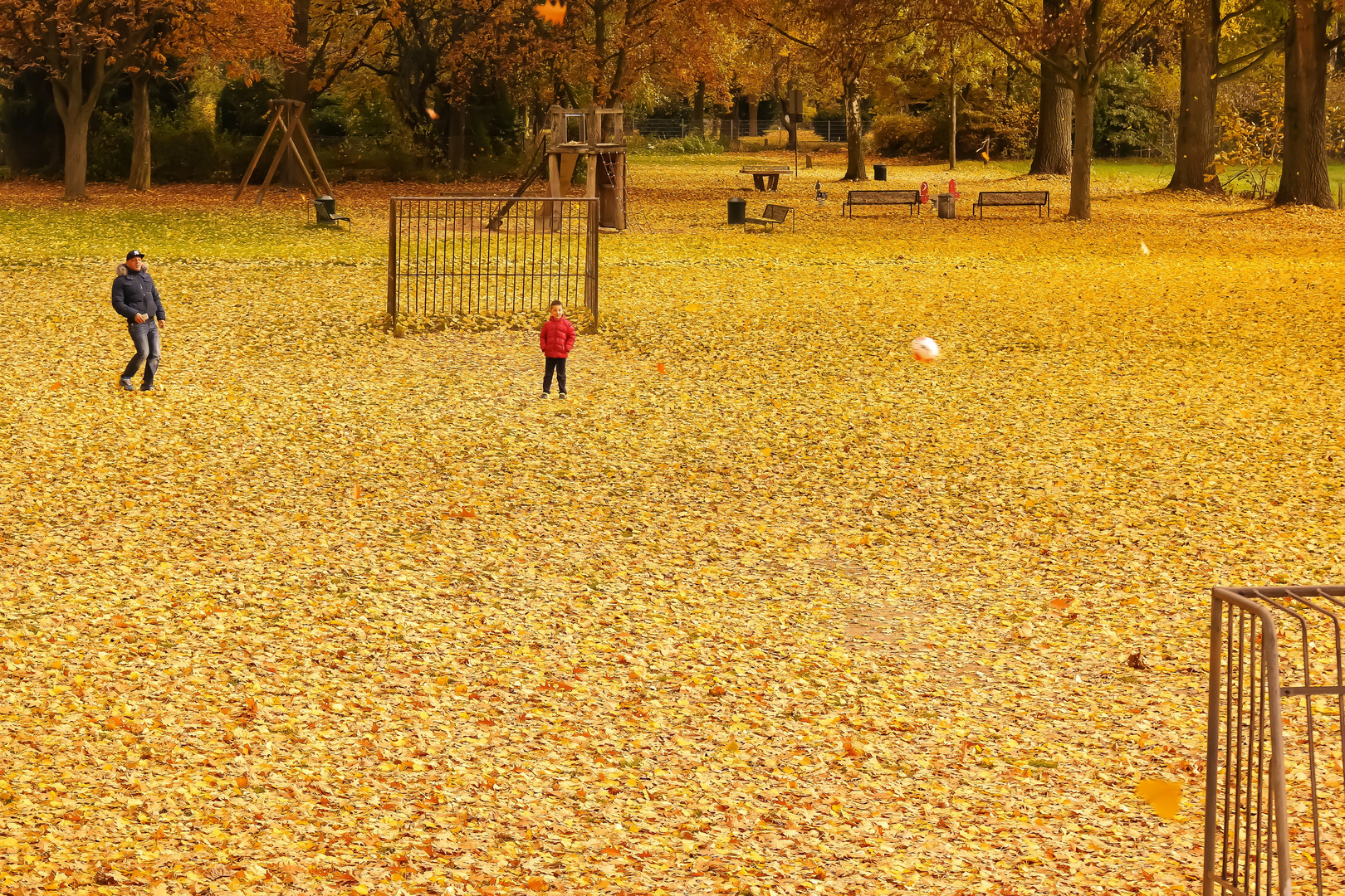 Jeu d'automne 