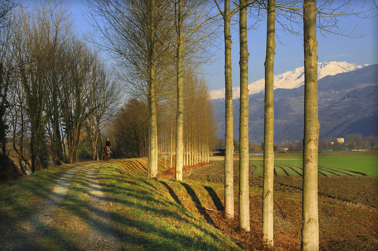 jeu de lignes