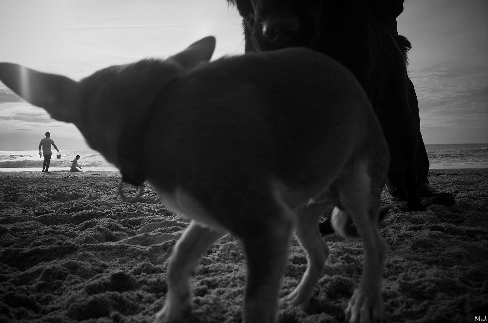 Jeu de plage