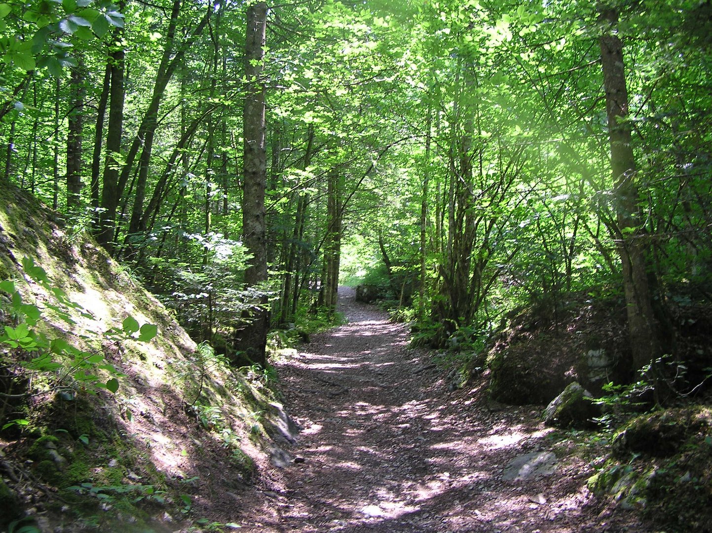 Jeu d'ombres et de lumière