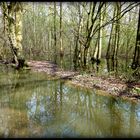 JEUDI - C'est le VERT ..... d'eau .... 