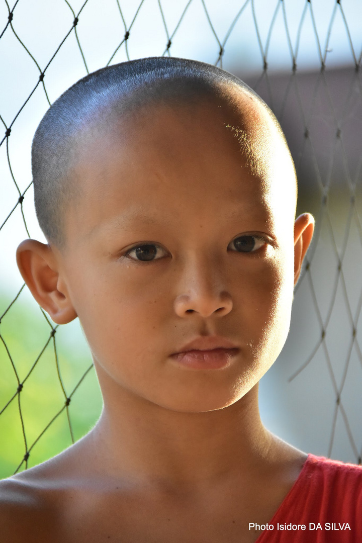 Jeune moine Laos 